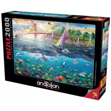 Anatolian 2000 - Frisco Bay Bridge