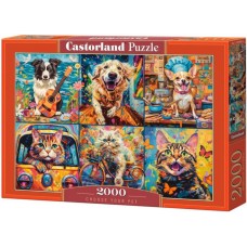 Castorland 2000 - Choose a favorite