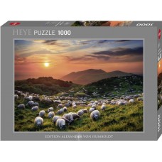 Heye 1000 - In the field