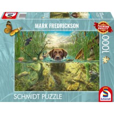 Schmidt 1000 - Brown Labrador in the water
