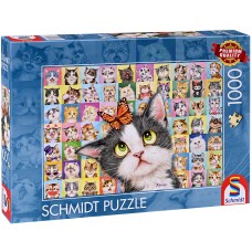 Schmidt 1000 - Cat Mimic